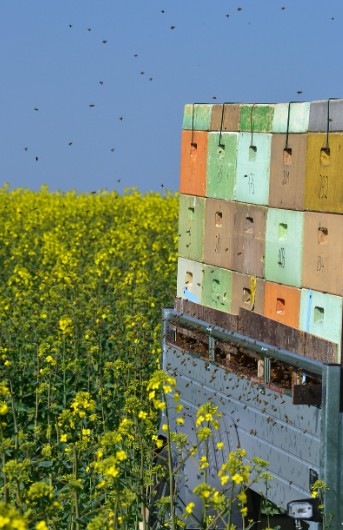 Screenshot 2026-02-05 094703